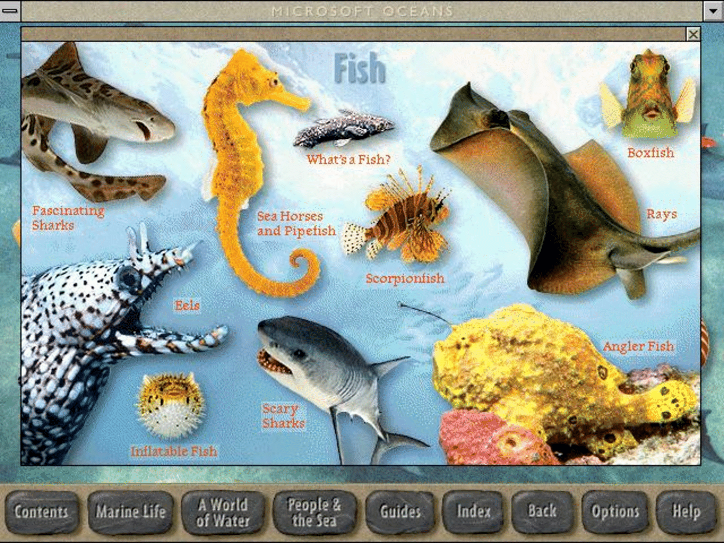 Microsoft Oceans screenshot