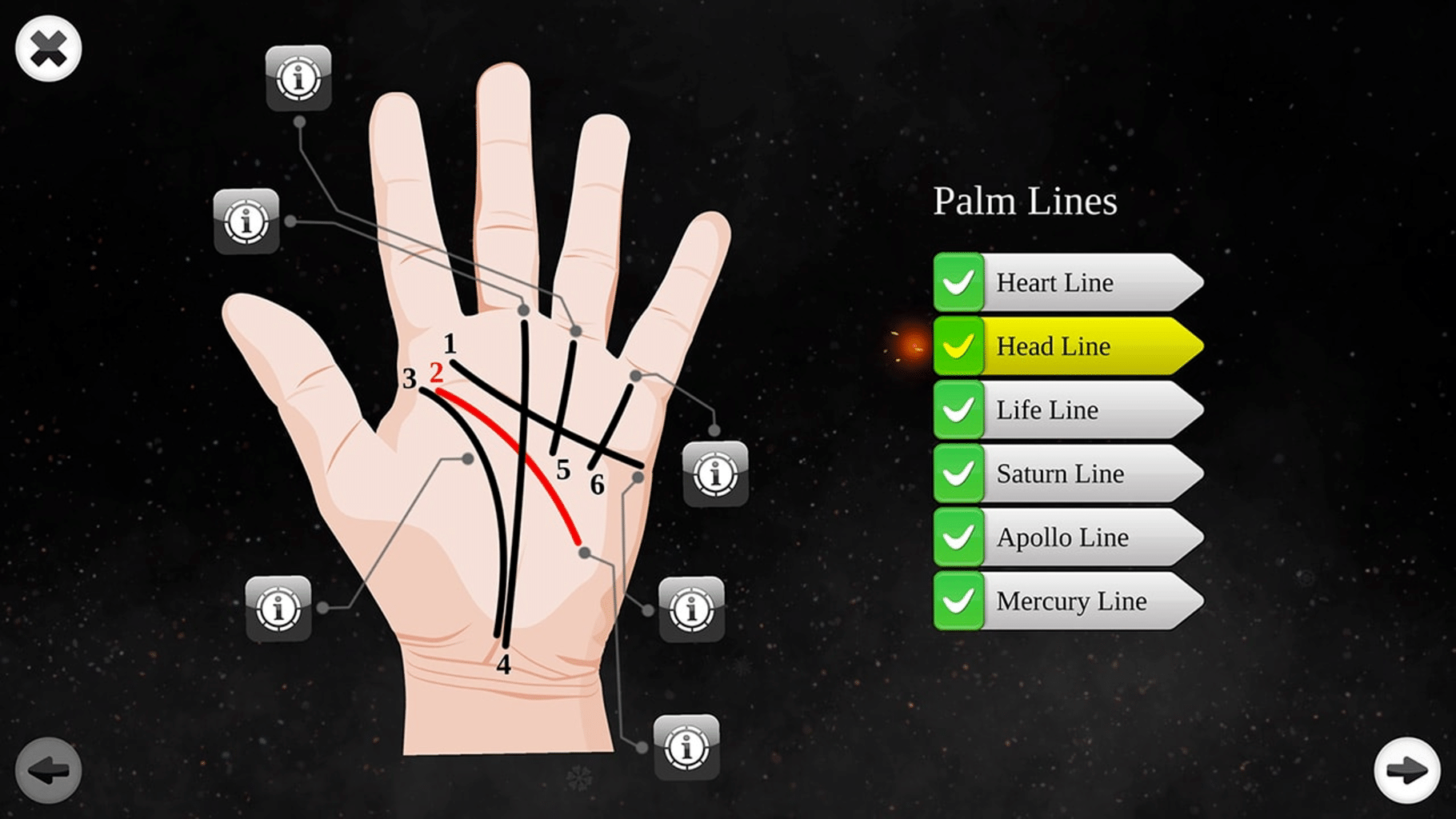 Palm Reading Premium screenshot