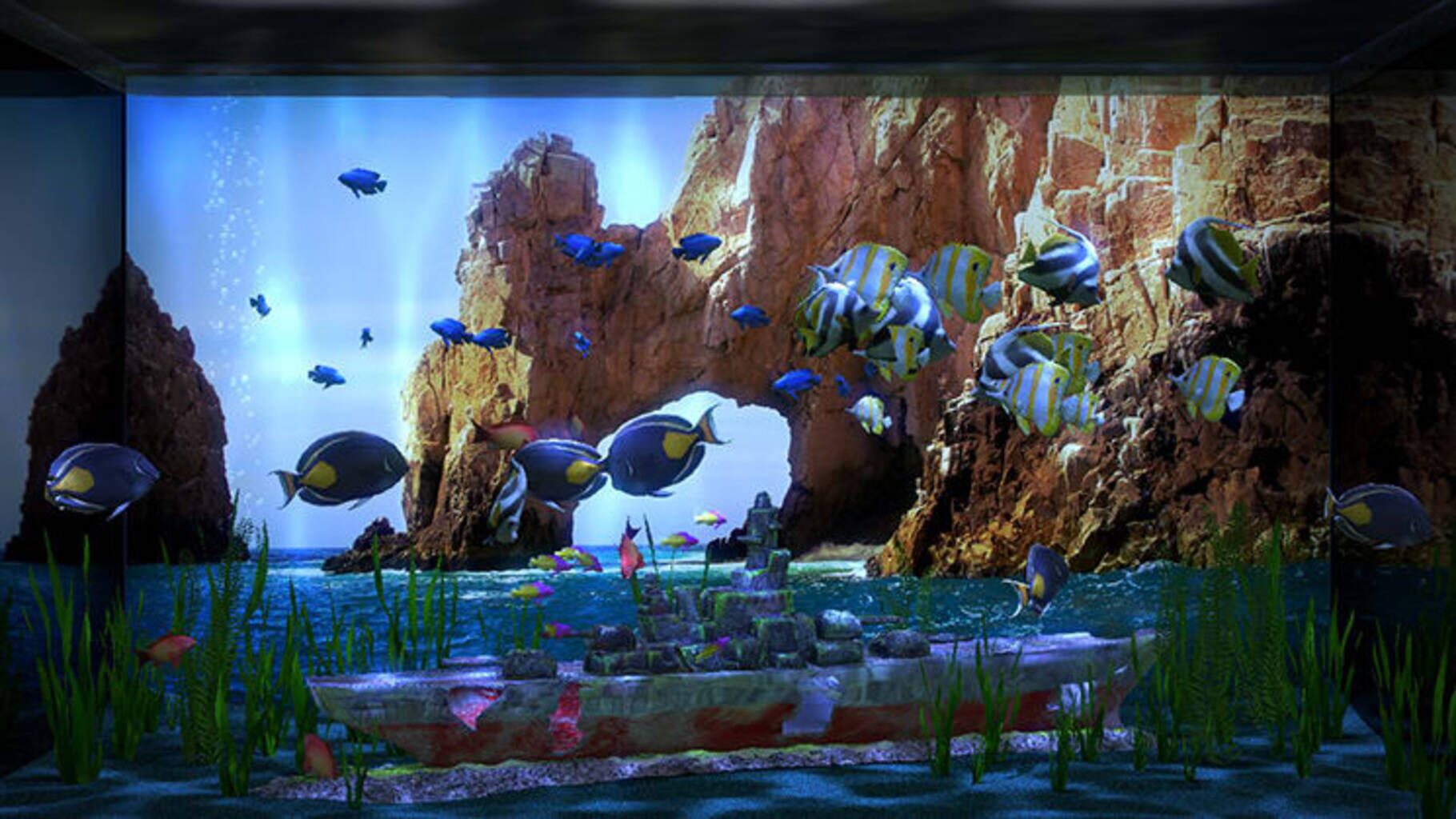Aqua TV screenshot
