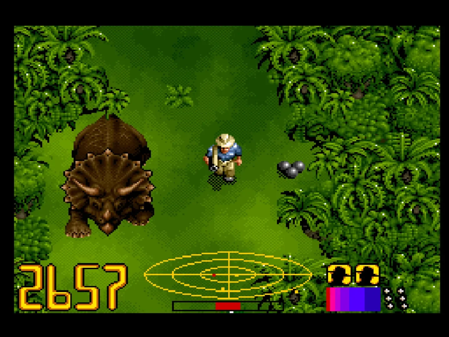 Thumbnail 6