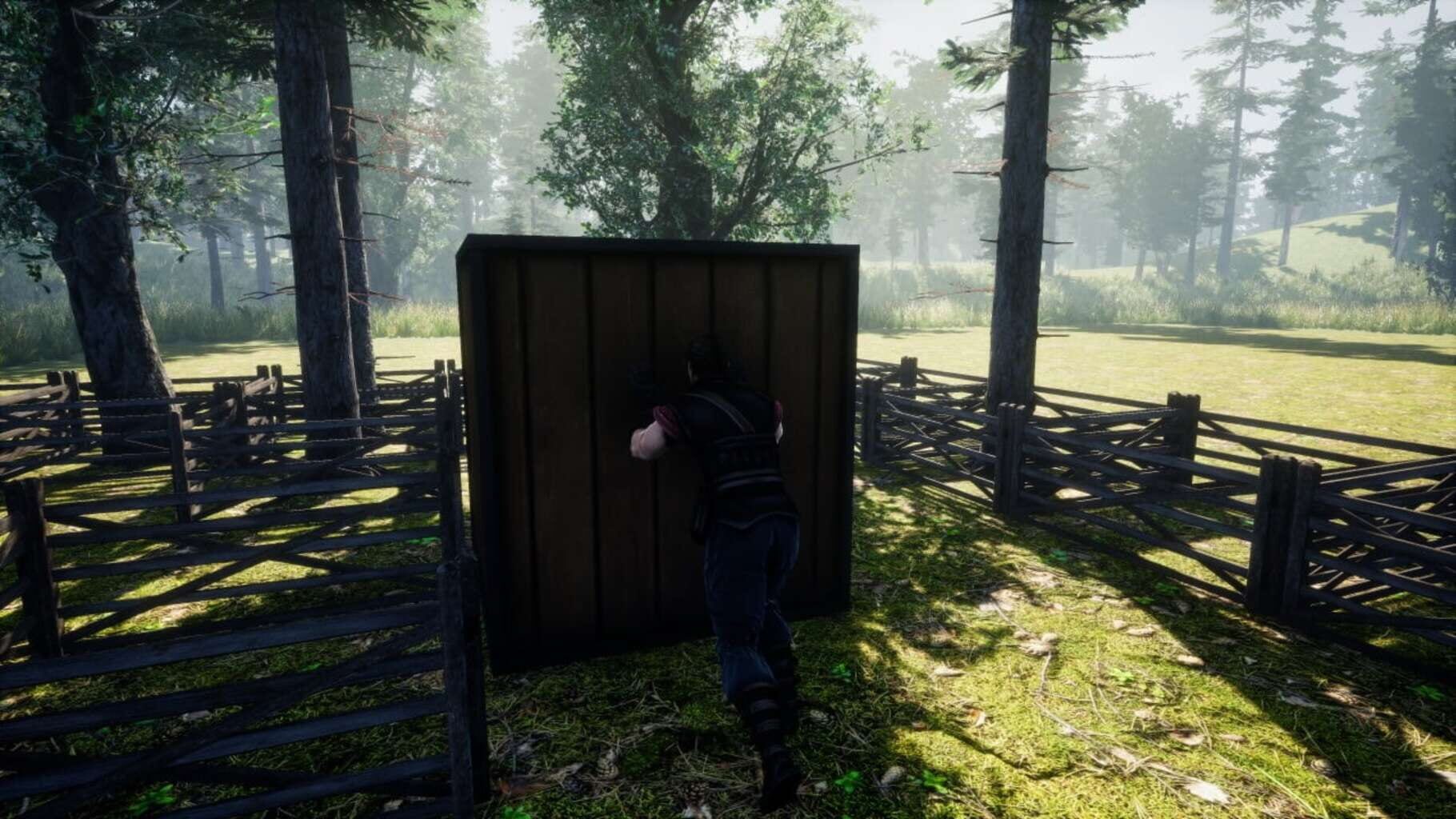 Push the Crate screenshot