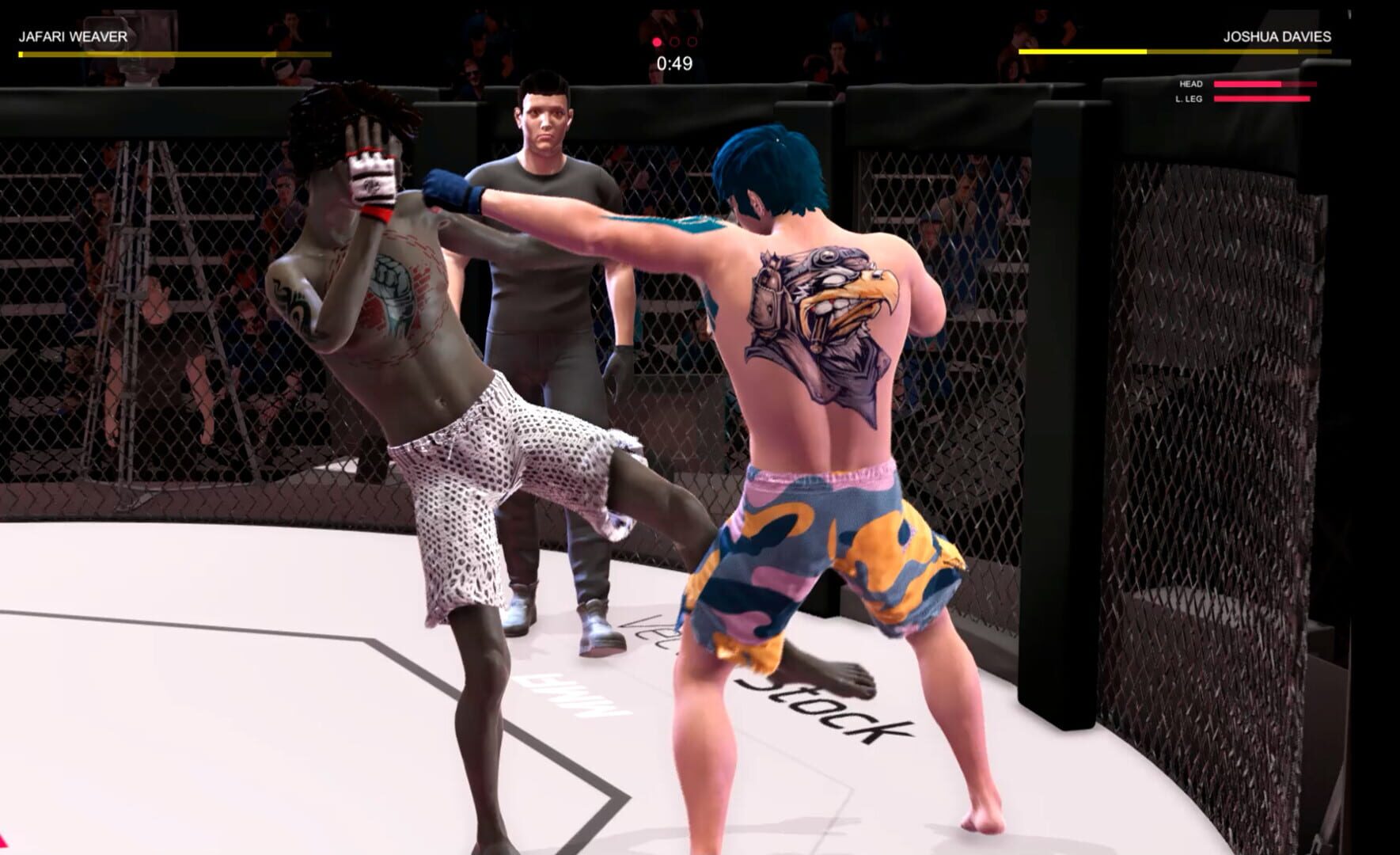 Ultimate MMA - Screenshot