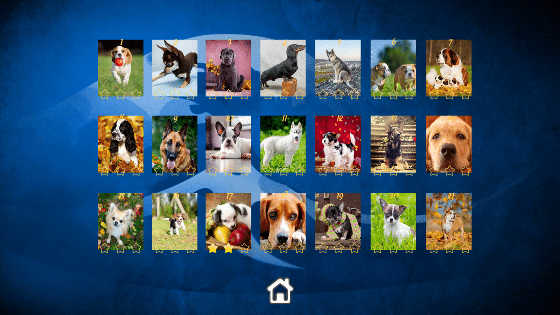 Puppy Dog: Jigsaw Puzzles screenshot