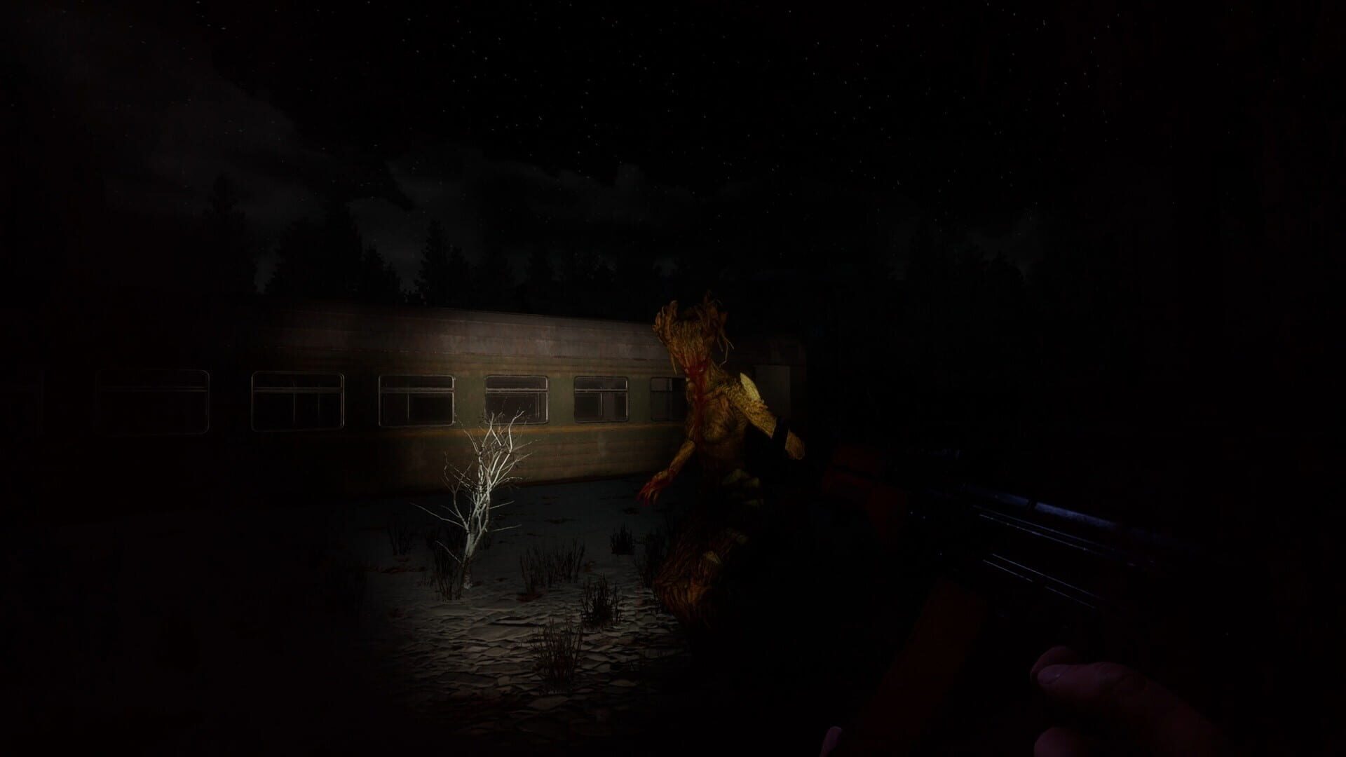 Unknown Woods - Screenshot