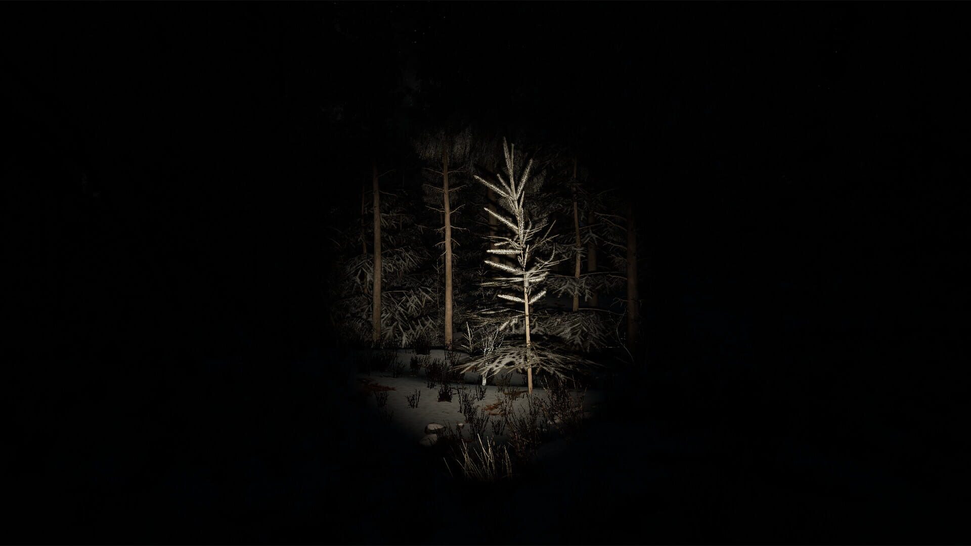 Unknown Woods - Screenshot
