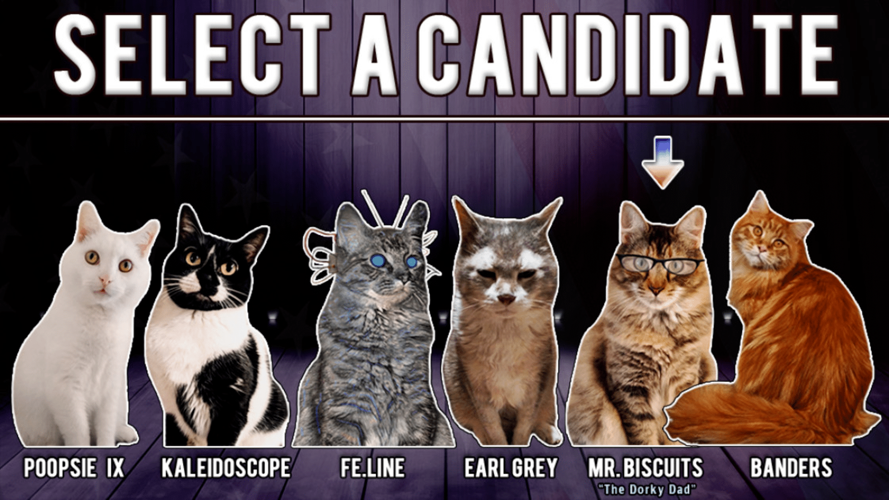 Cat President 2: Purrlitical Revolution screenshot