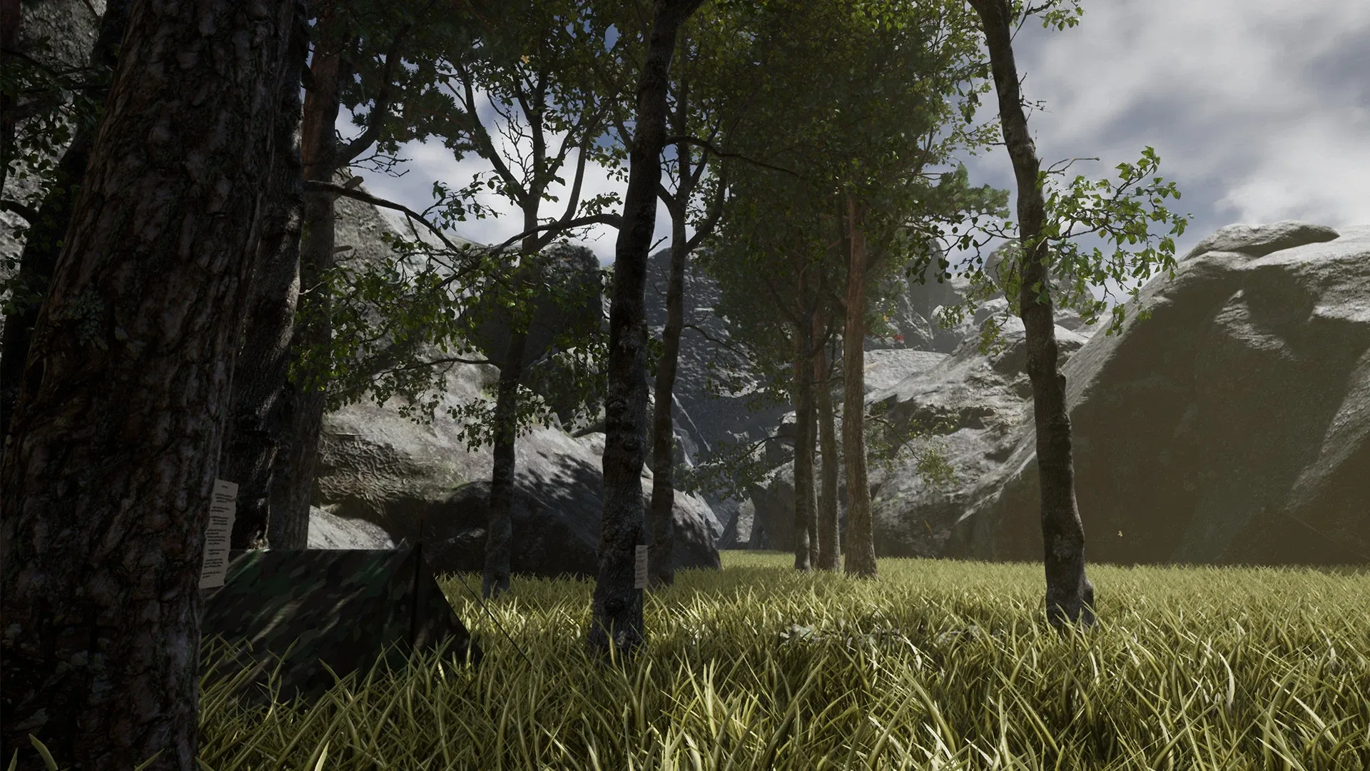Thumbnail 8