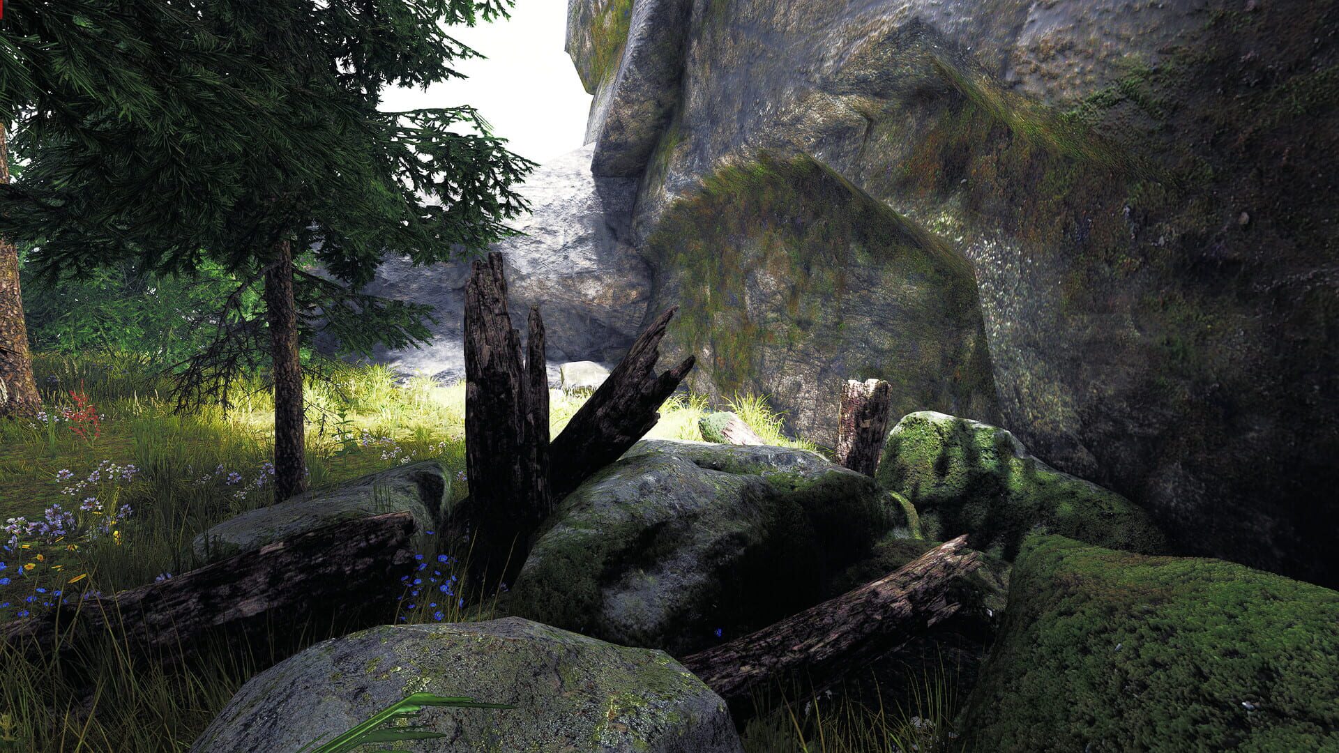 Undergrowth: VR Maze - Screenshot