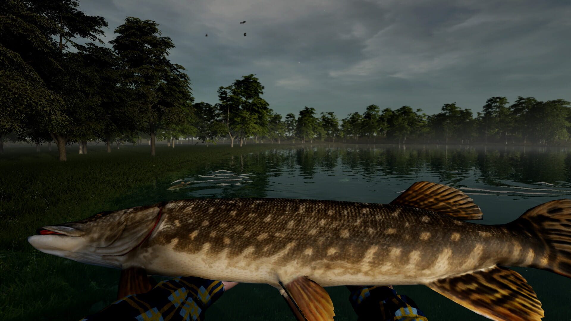 Tales of Herring Lake - Screenshot