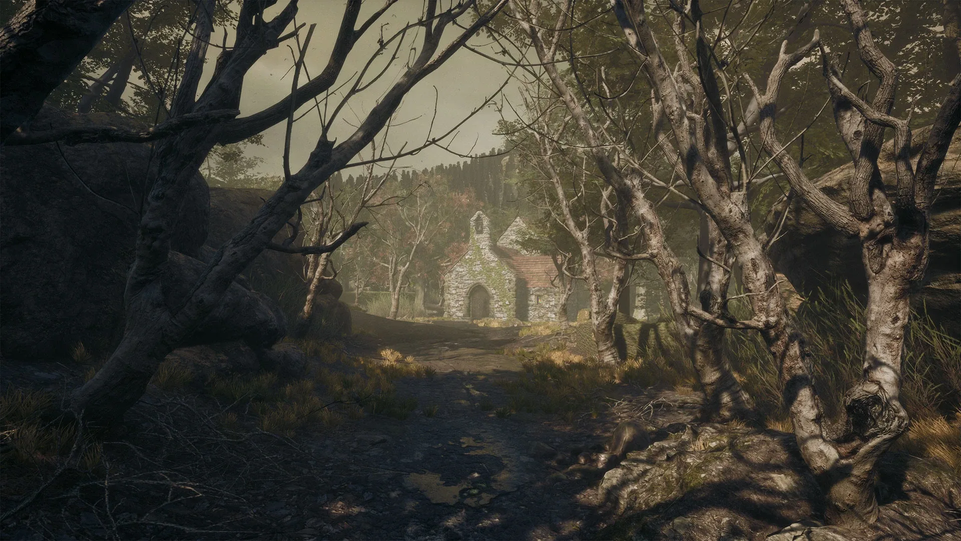 Thumbnail 12