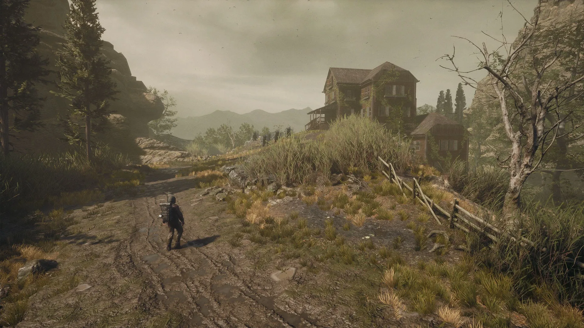 Thumbnail 13