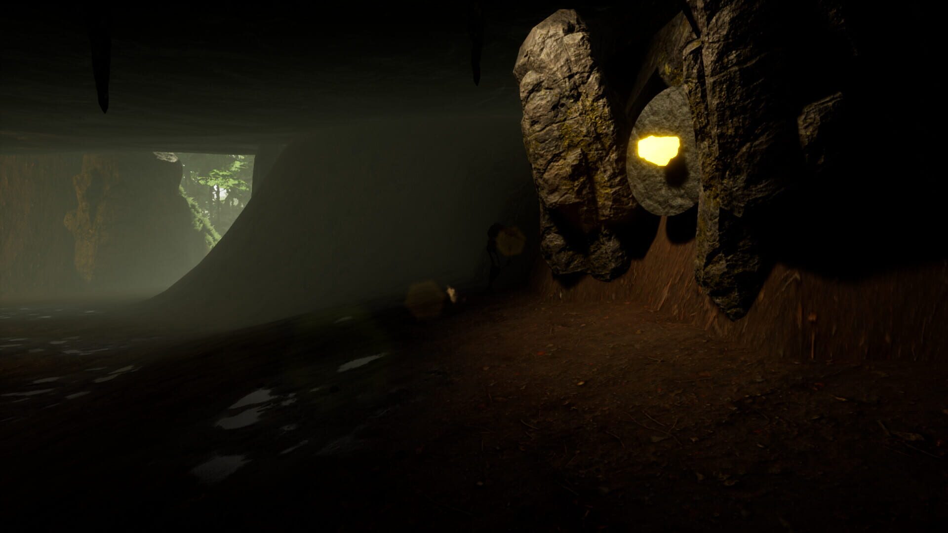 The Sole Survivor - Screenshot