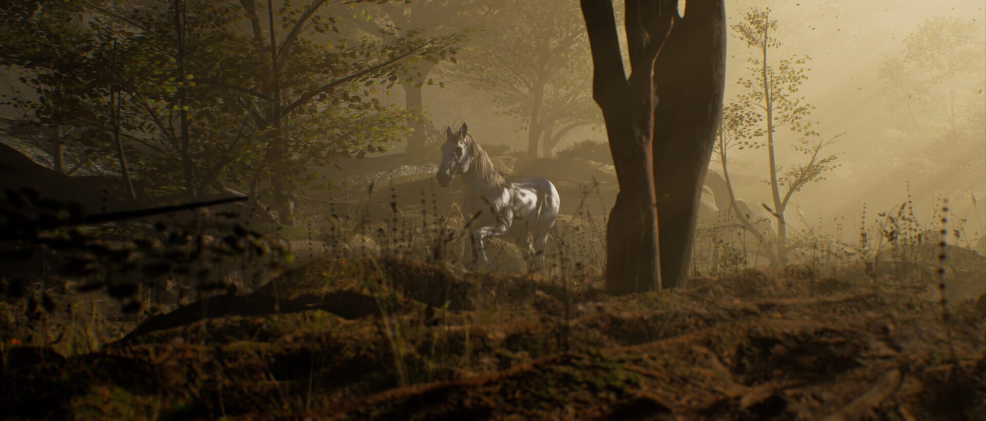 Lands of Raynar - Screenshot