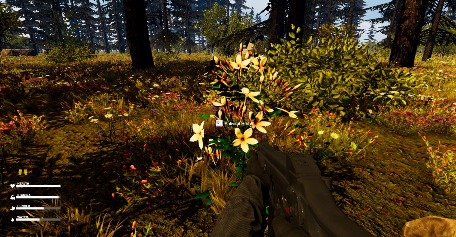 No Man is an Island - Screenshot