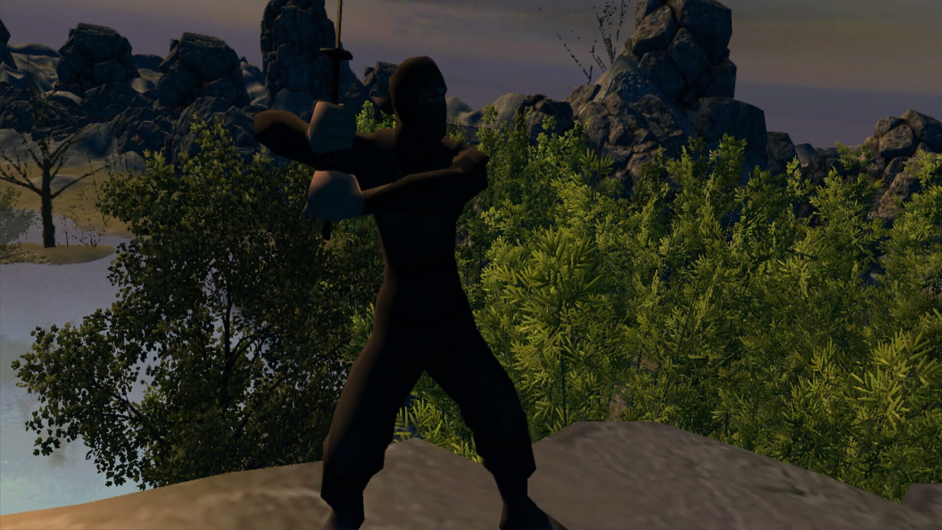 Aka Ninja VR - Screenshot