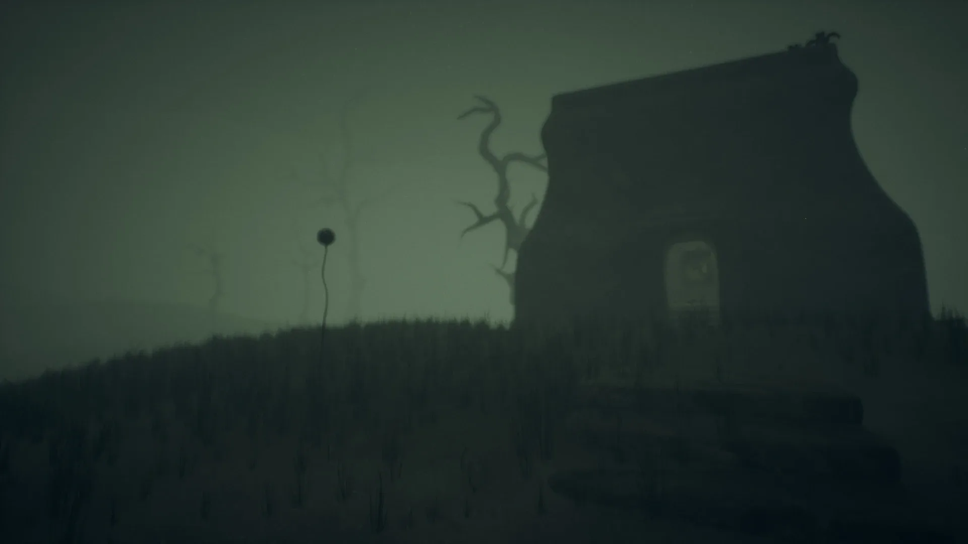 Thumbnail 11