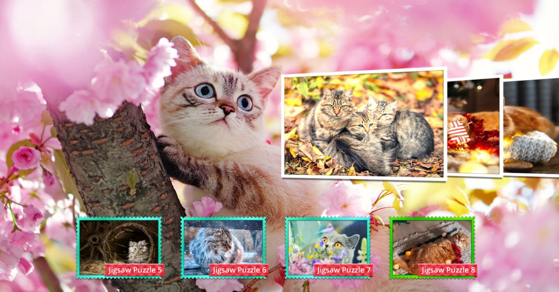 Cat's Life Jigsaw Puzzles - Screenshot