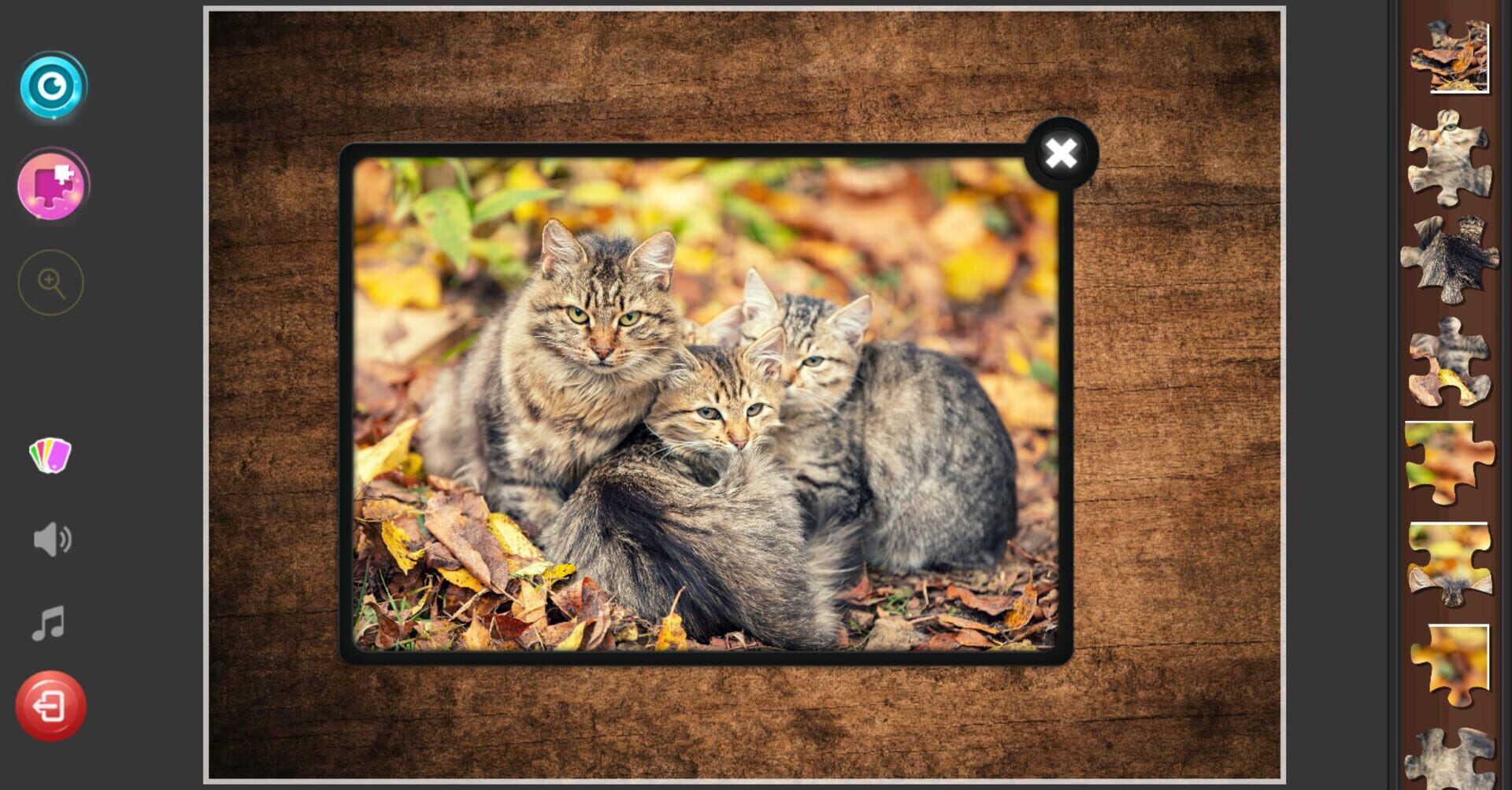 Cat's Life Jigsaw Puzzles - Screenshot