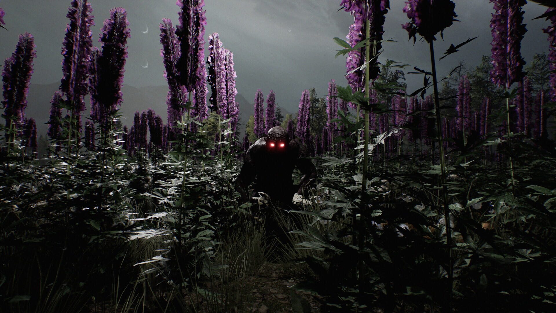 Pendle Hill - Screenshot