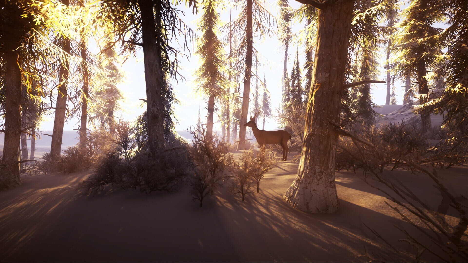 Snow Survival - Screenshot