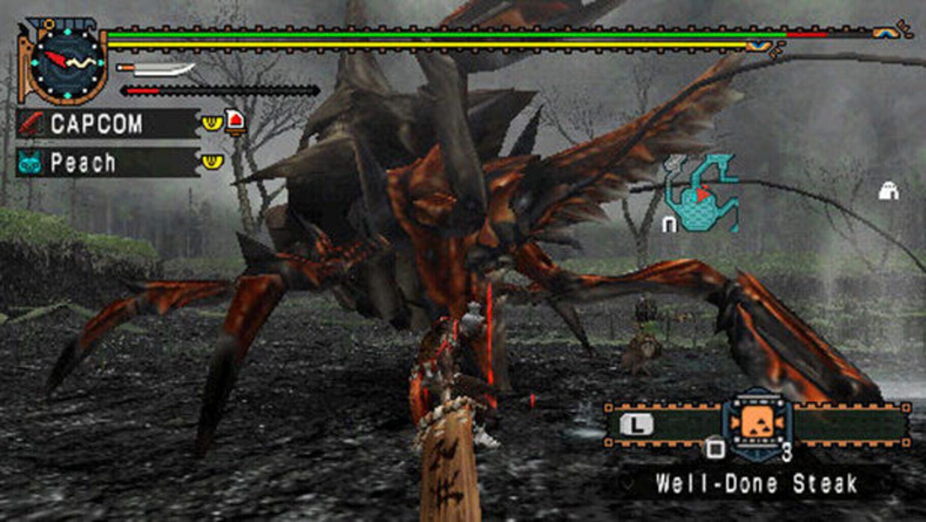 Captura de pantalla - Monster Hunter Dual Pack