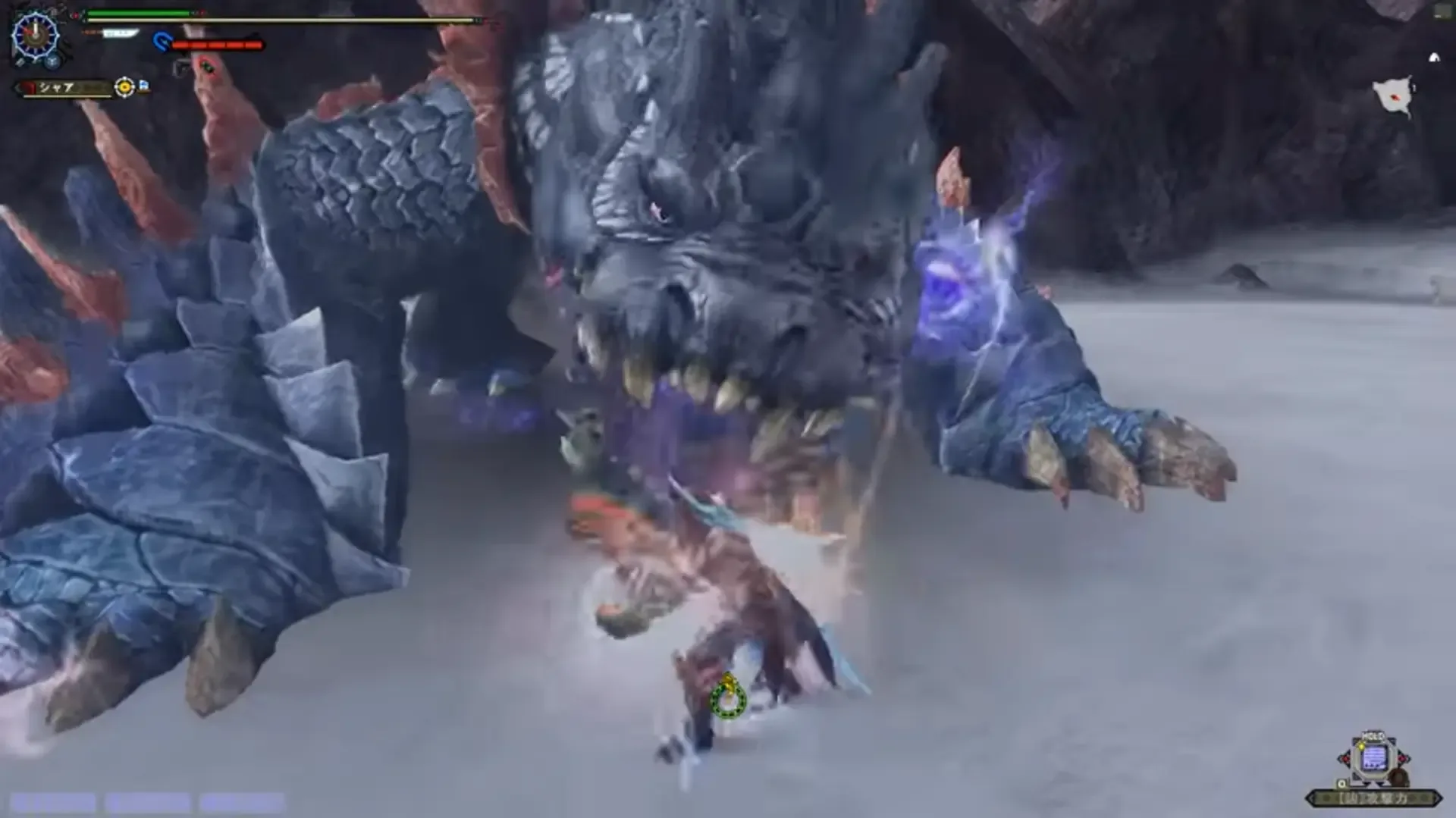 Captura de pantalla - Monster Hunter Frontier ZZenith
