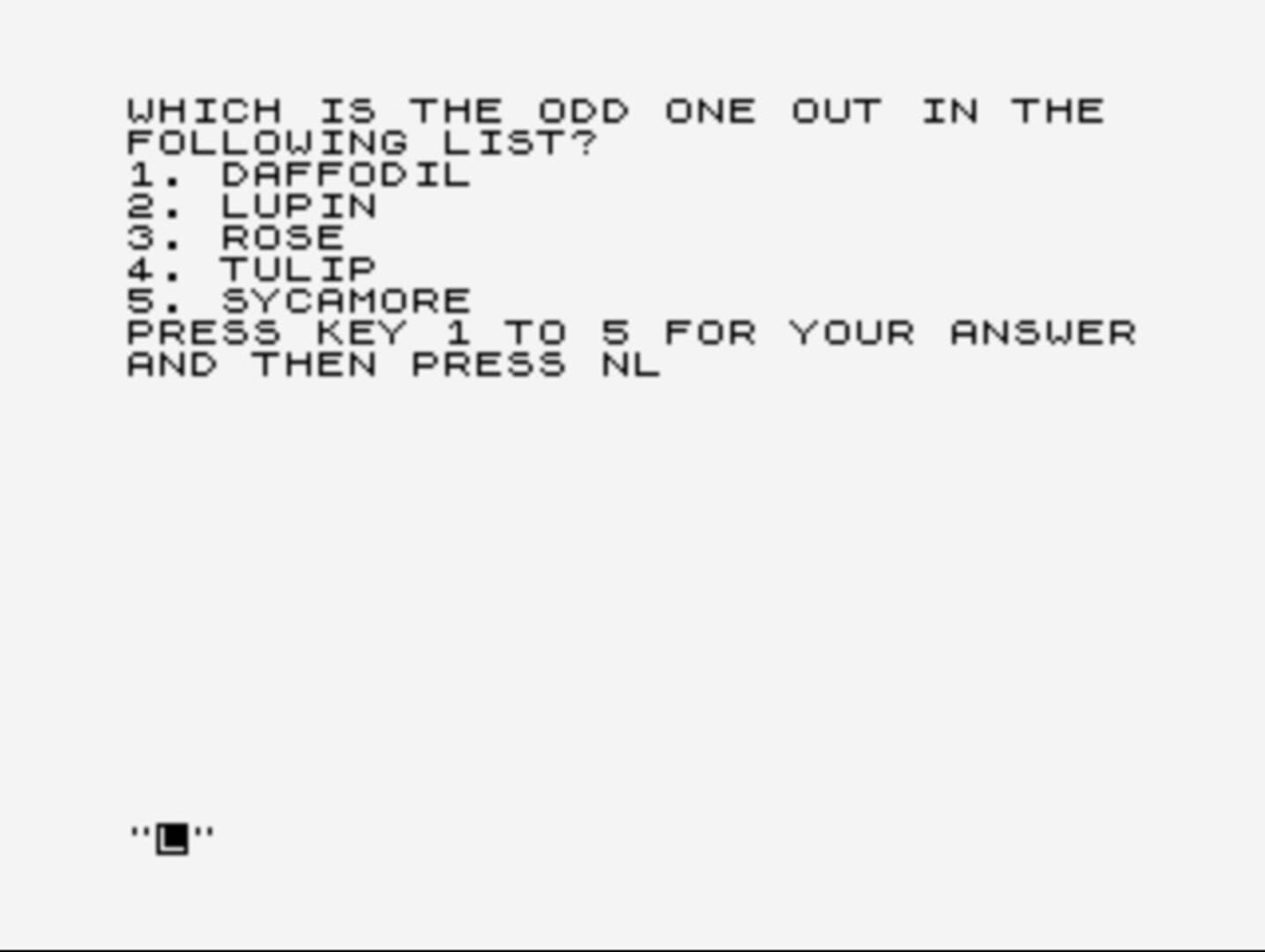 Family Quiz 6 - Screenshot