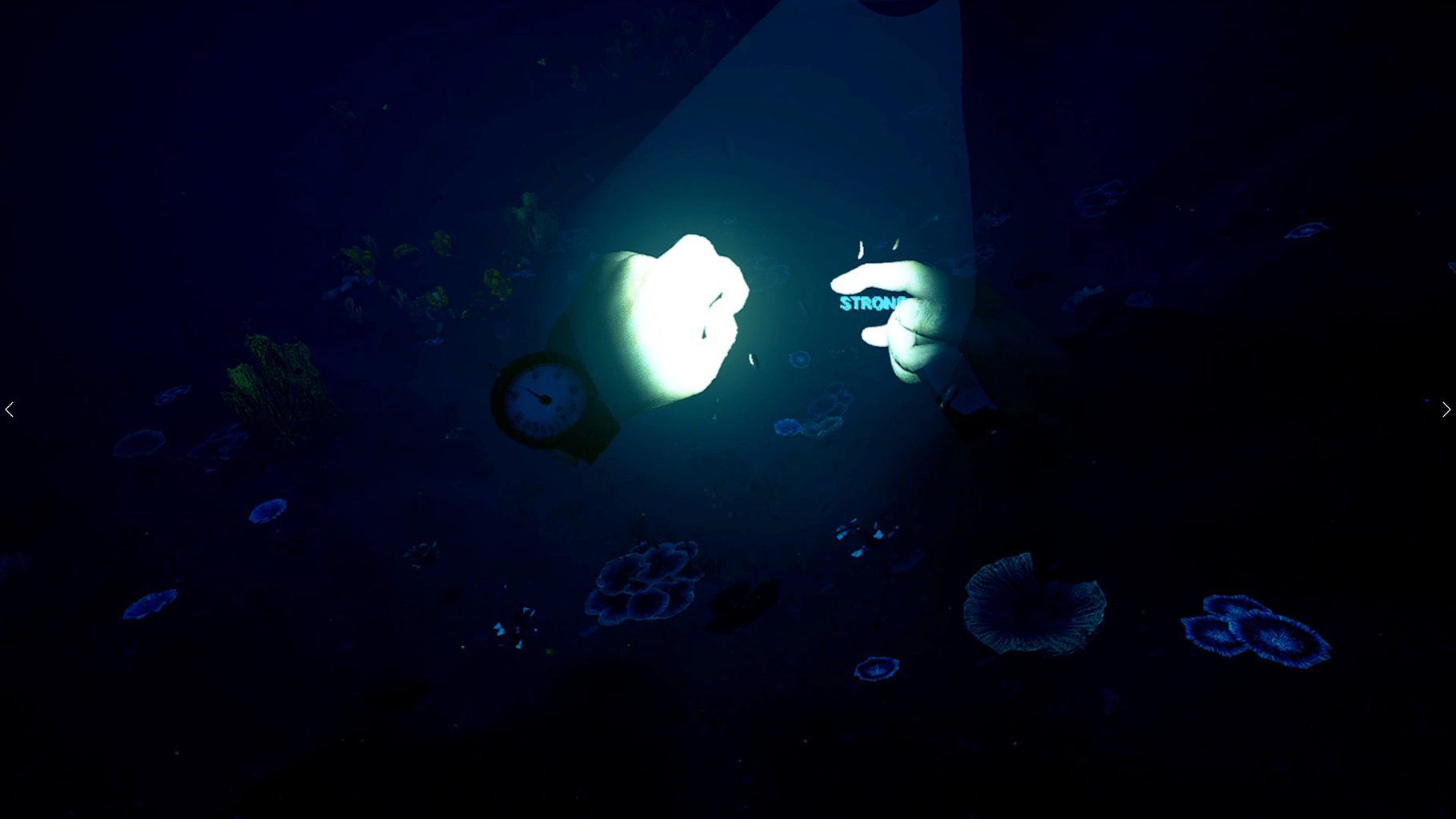 Bodies of Water VR screenshot