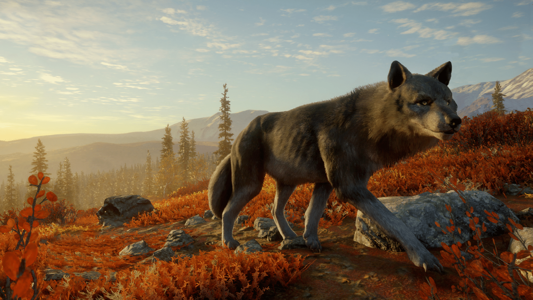 TheHunter: Call of the Wild - Yukon Valley screenshot