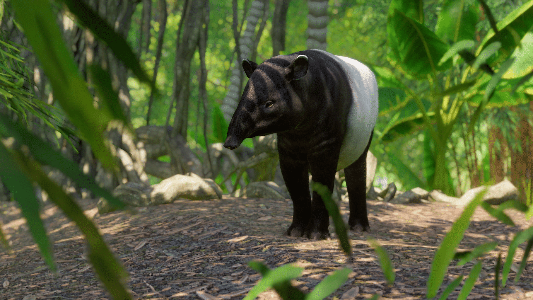 Planet Zoo: Southeast Asia Animal Pack screenshot