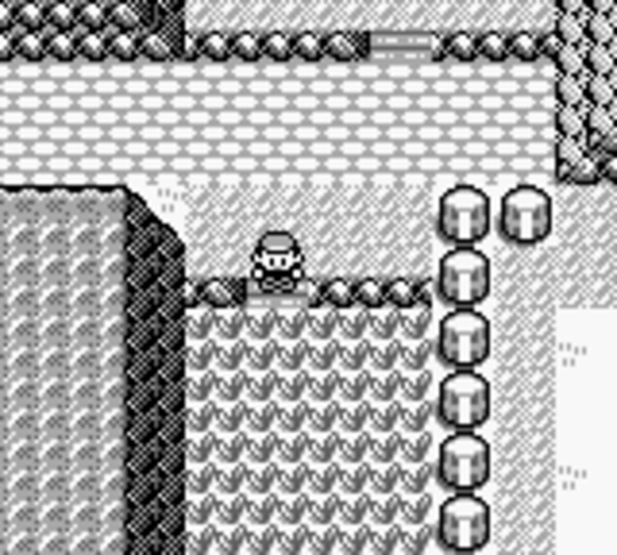 Captura de pantalla - Pokémon Blue Version