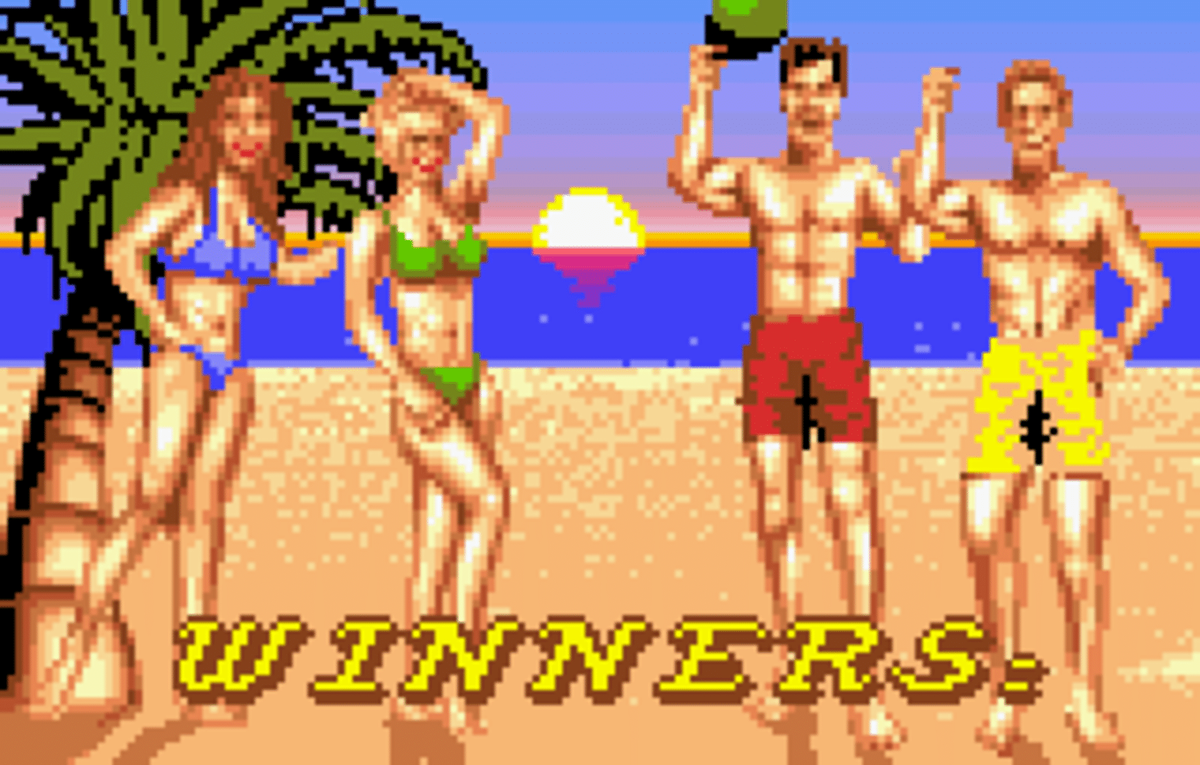 Malibu Bikini Volleyball screenshot