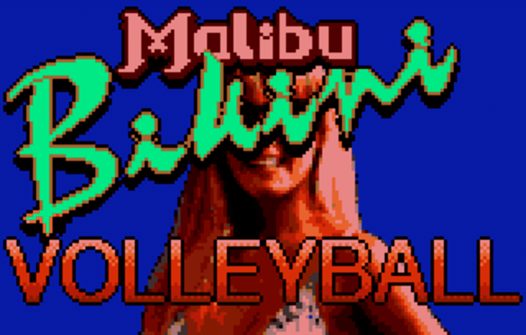 Malibu Bikini Volleyball screenshot