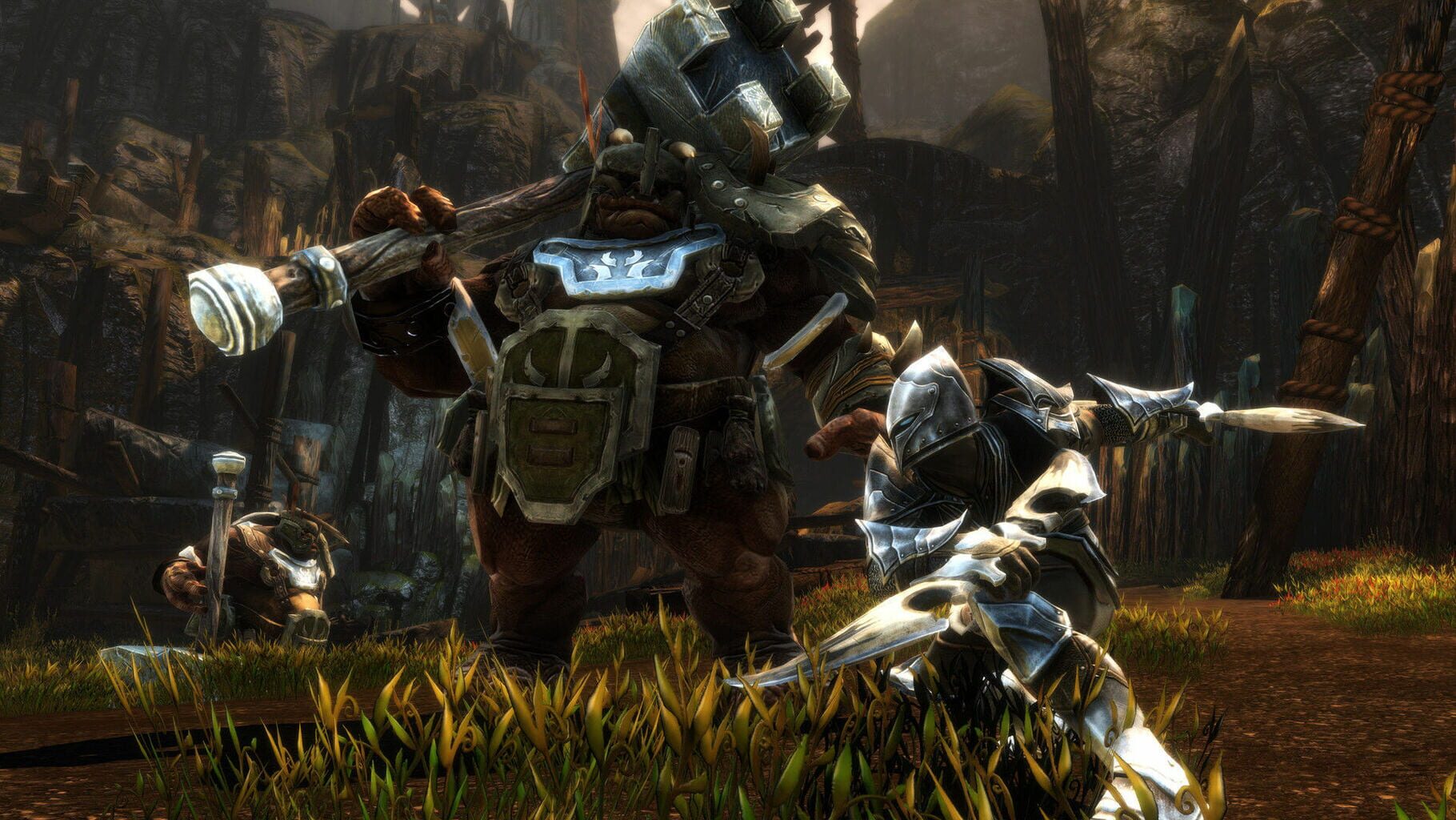 Captura de pantalla - Kingdoms of Amalur: Re-Reckoning - Fate Edition