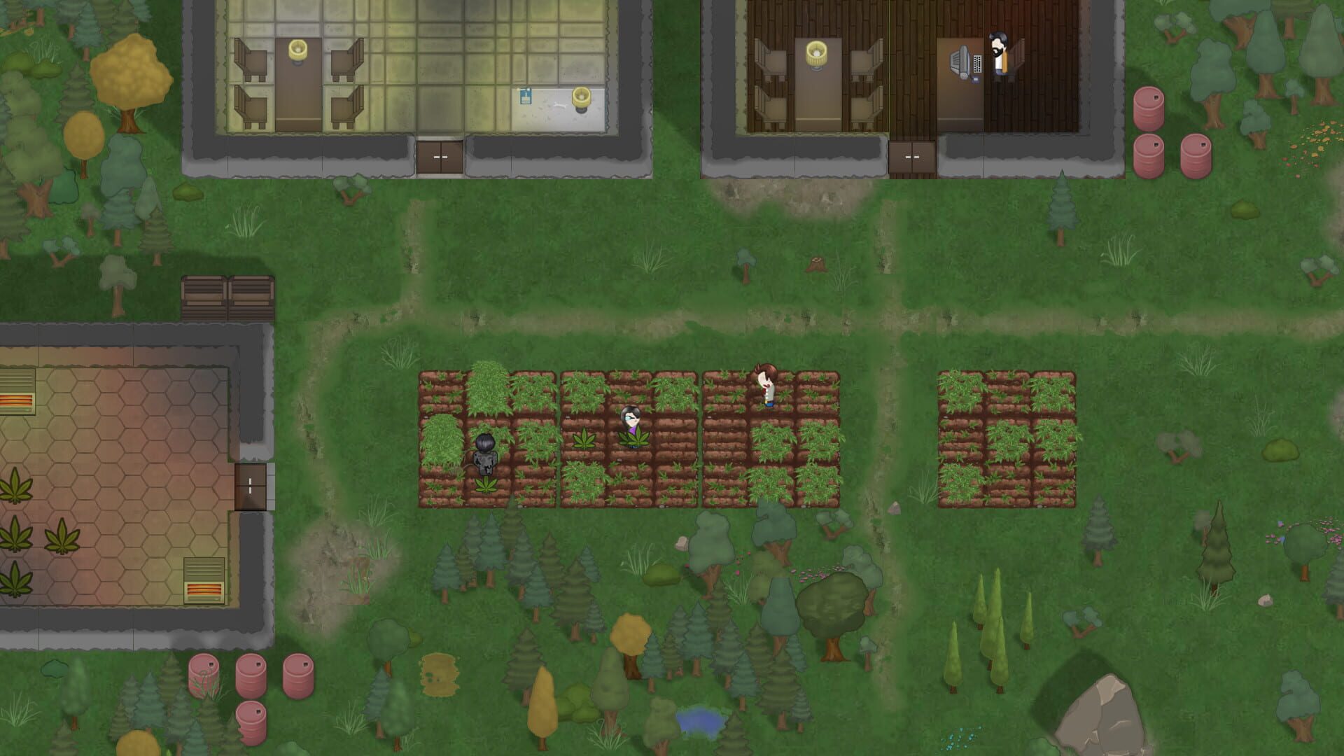 Narco Tycoon - Screenshot