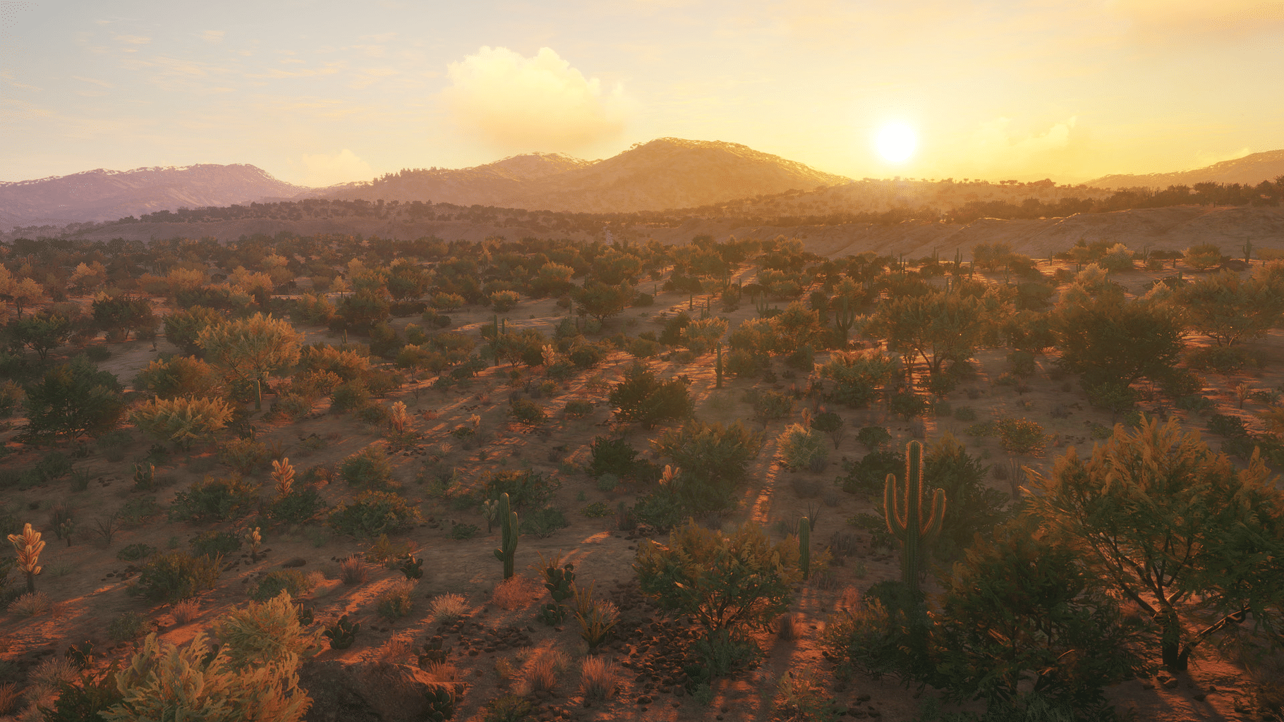 TheHunter: Call of the Wild - Rancho del Arroyo screenshot