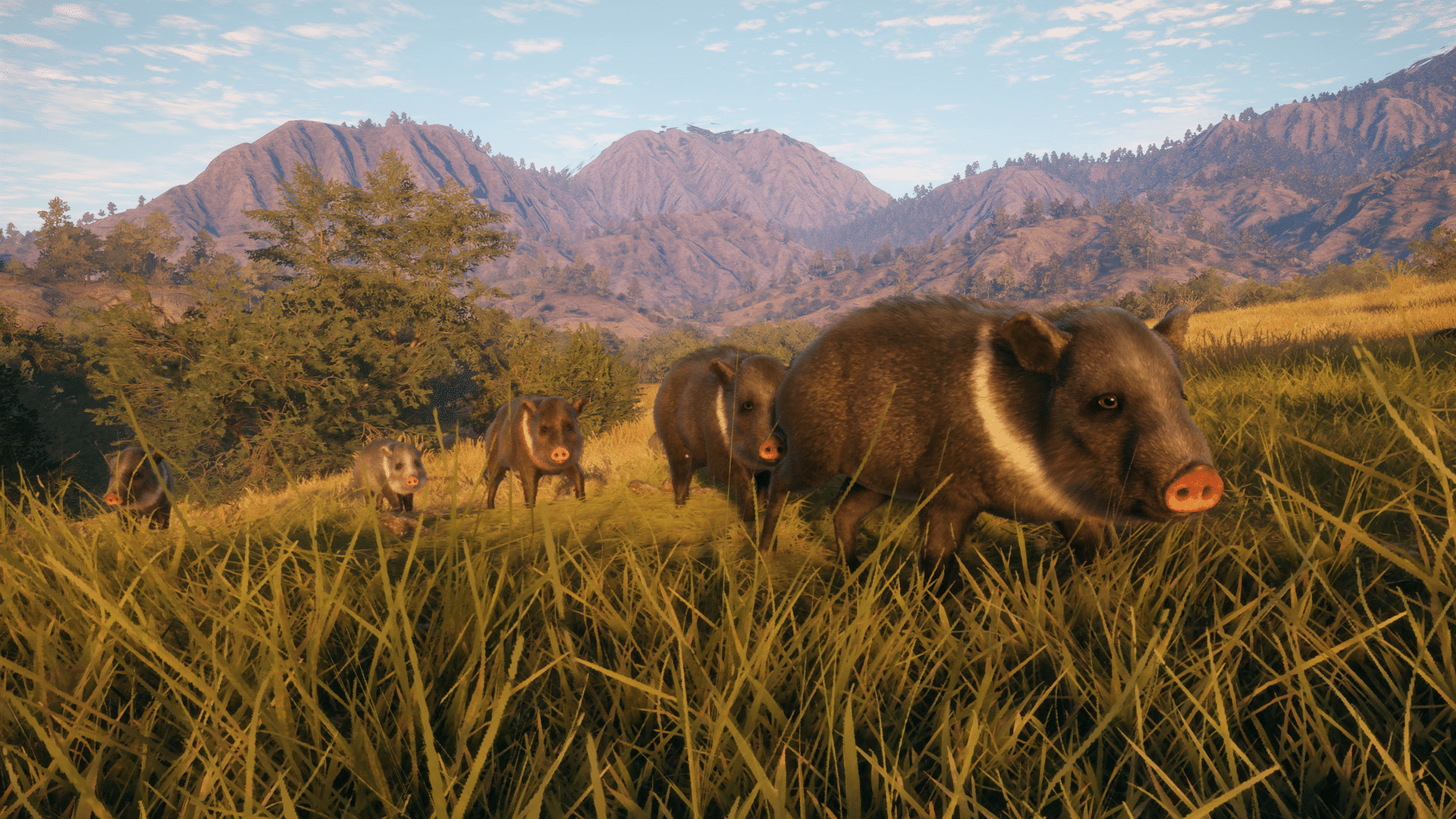 TheHunter: Call of the Wild - Rancho del Arroyo screenshot