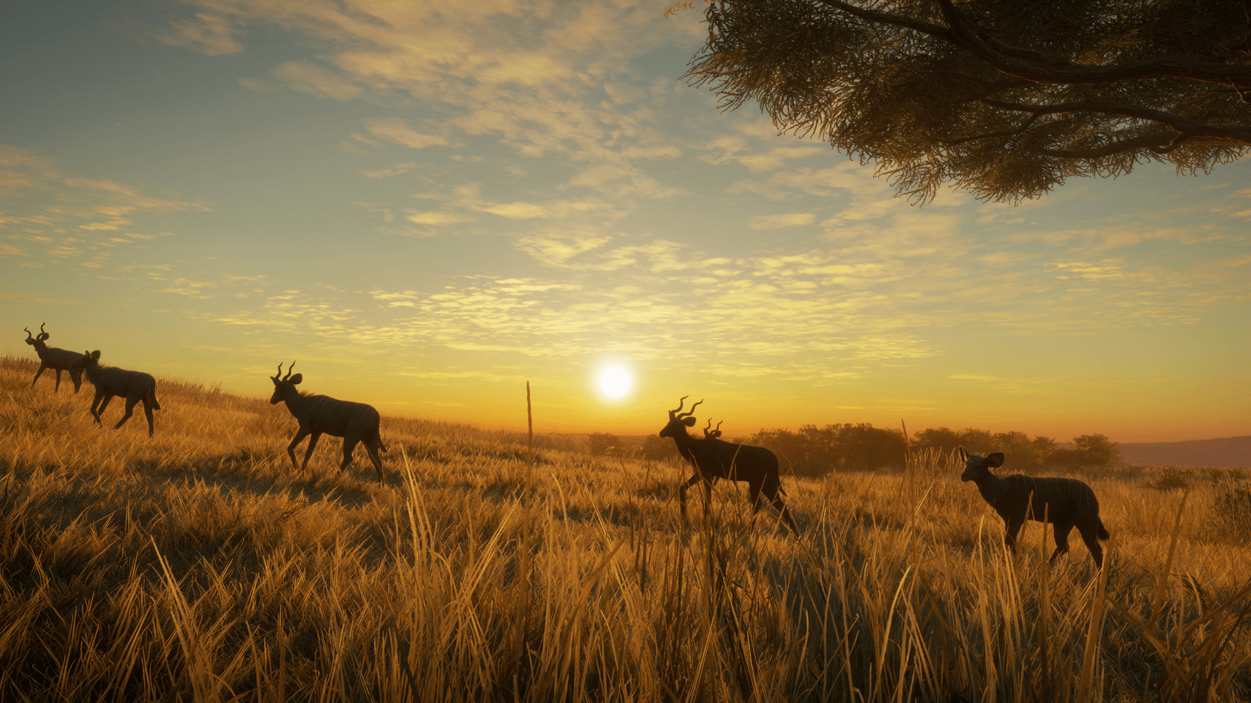 TheHunter: Call of the Wild - Vurhonga Savanna screenshot