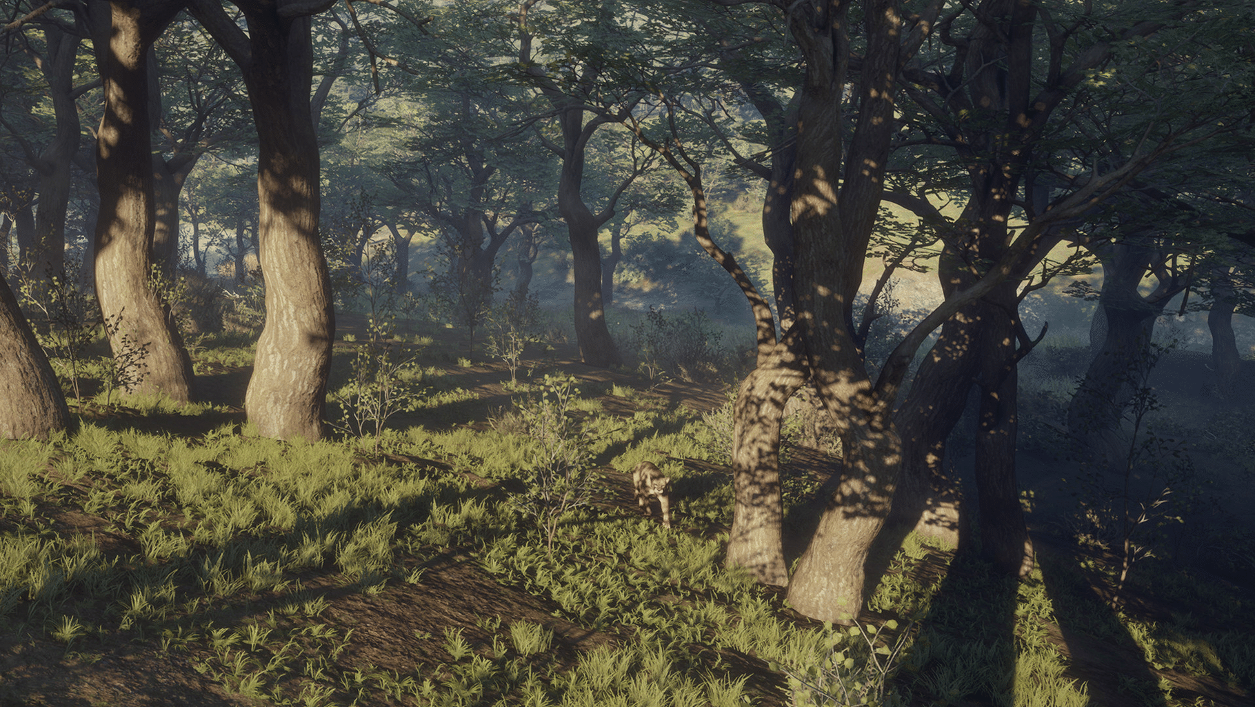 TheHunter: Call of the Wild - Parque Fernando screenshot