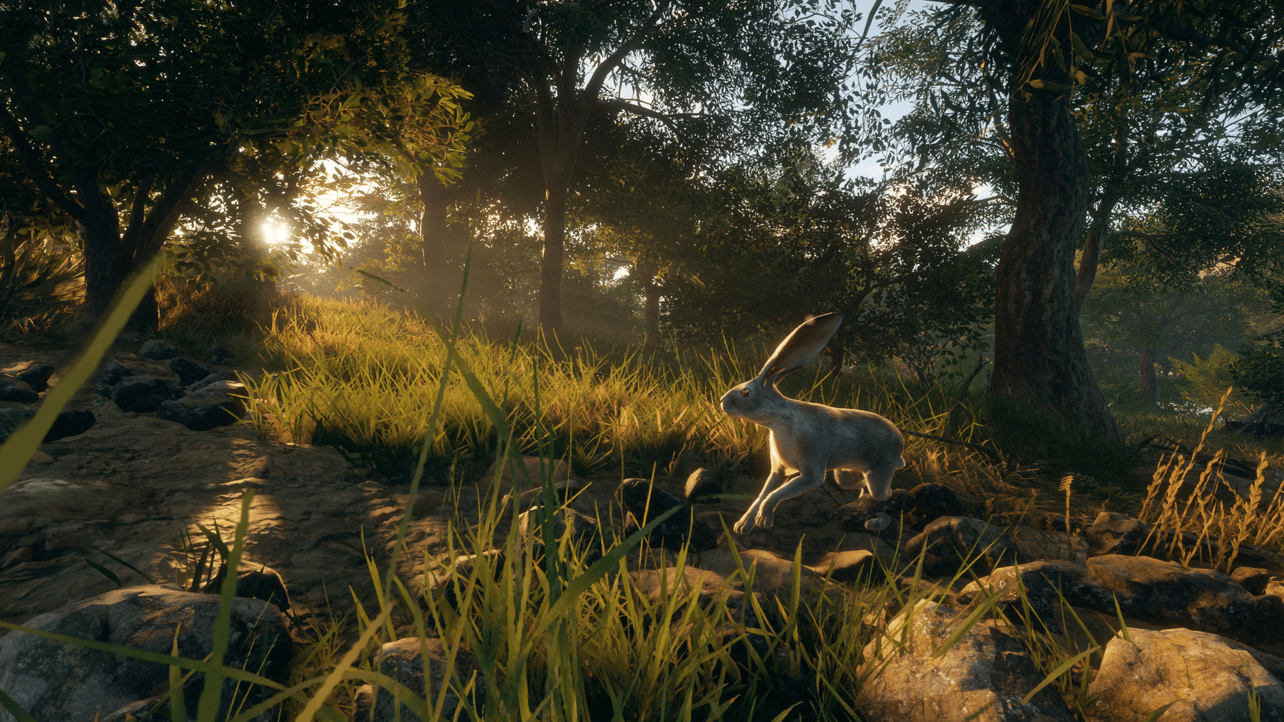 TheHunter: Call of the Wild - Rancho del Arroyo screenshot