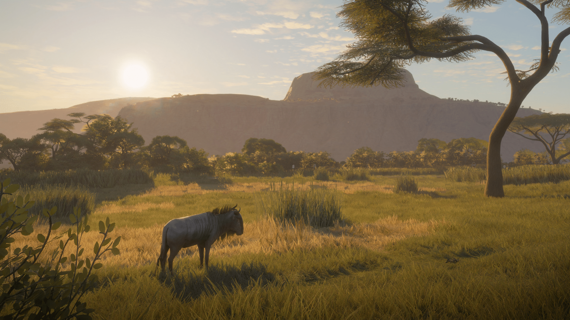 TheHunter: Call of the Wild - Vurhonga Savanna screenshot