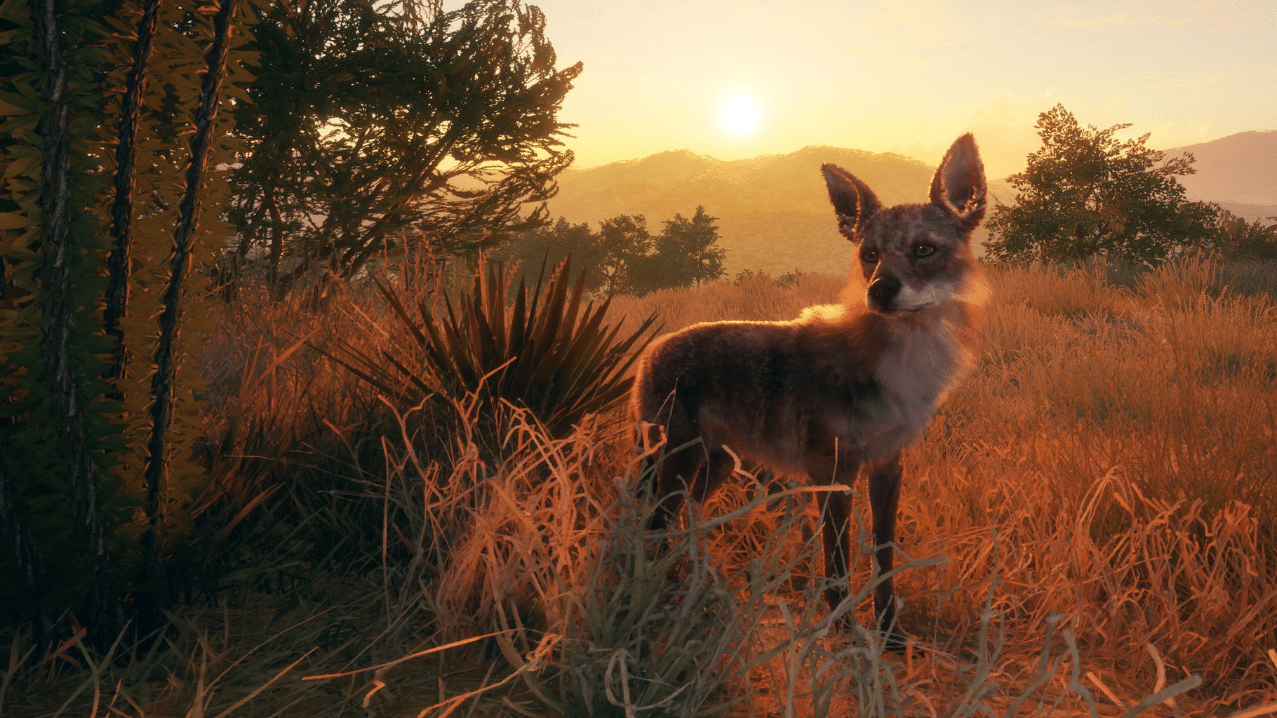 TheHunter: Call of the Wild - Rancho del Arroyo screenshot