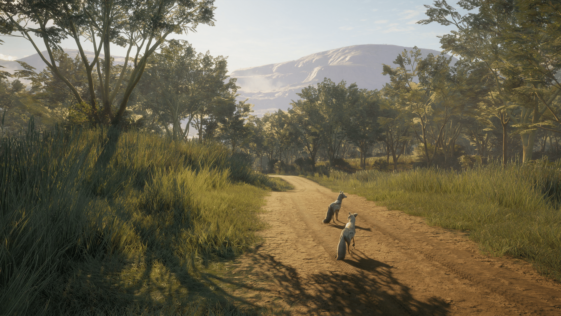 TheHunter: Call of the Wild - Vurhonga Savanna screenshot