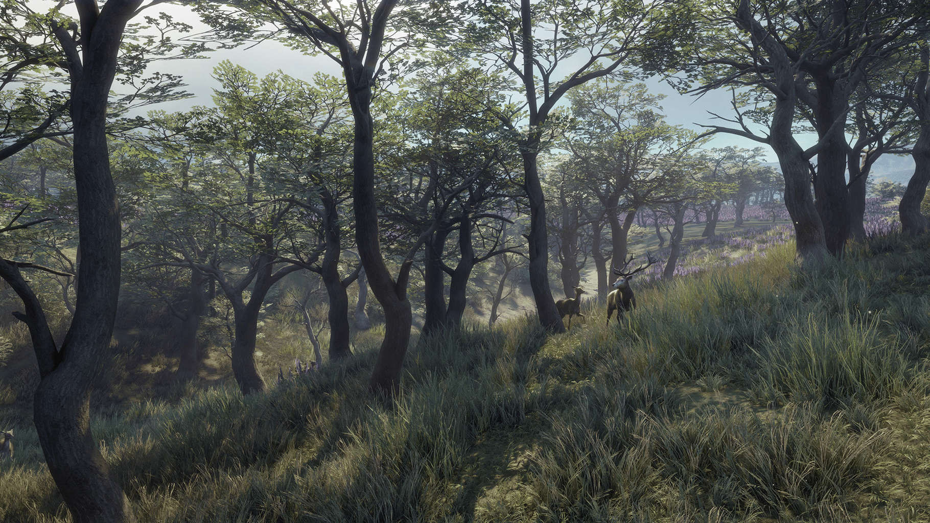 TheHunter: Call of the Wild - Parque Fernando screenshot