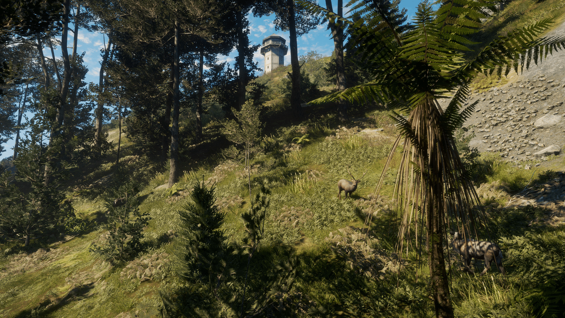 TheHunter: Call of the Wild - Te Awaroa National Park screenshot