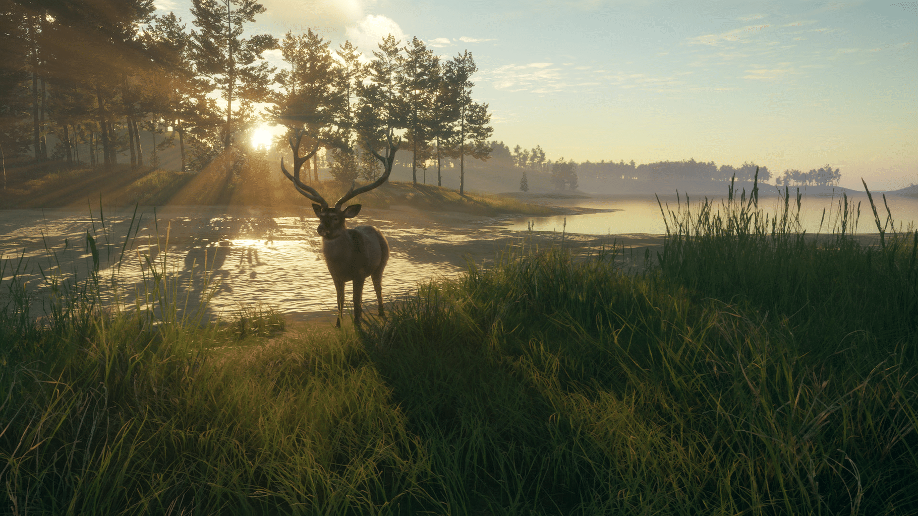 TheHunter: Call of the Wild - Te Awaroa National Park screenshot