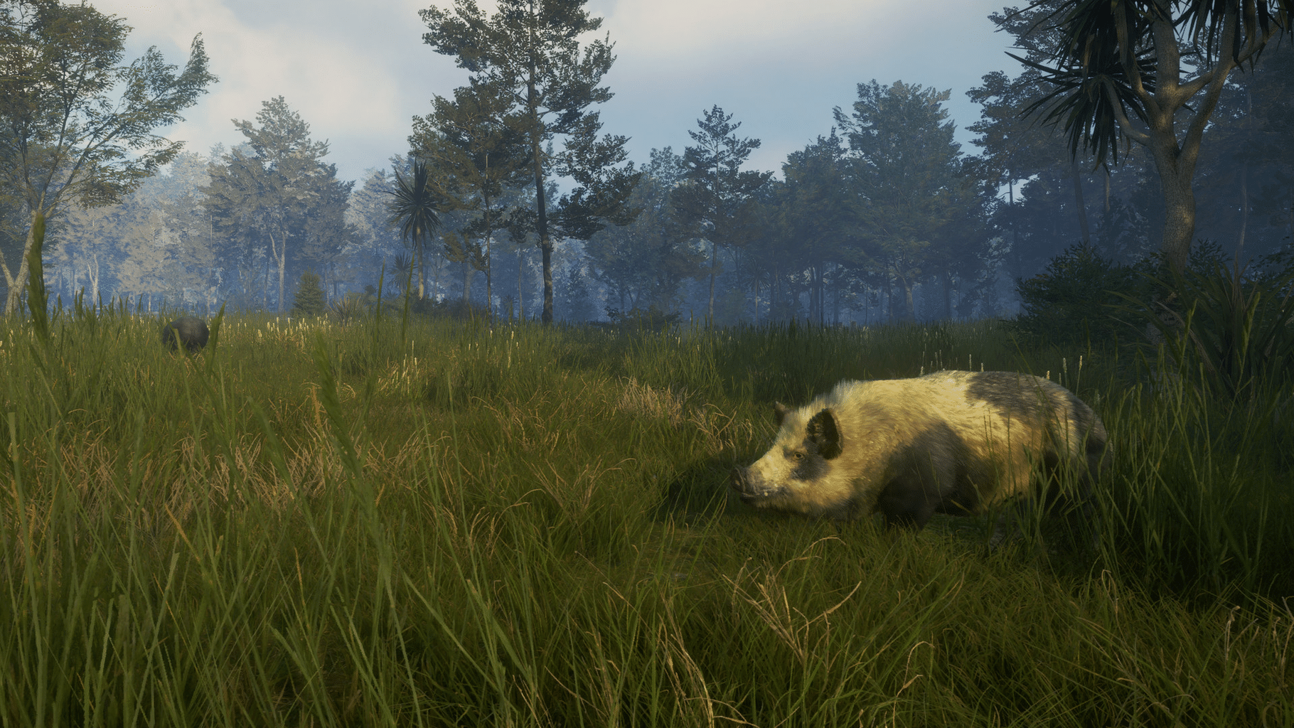 TheHunter: Call of the Wild - Te Awaroa National Park screenshot