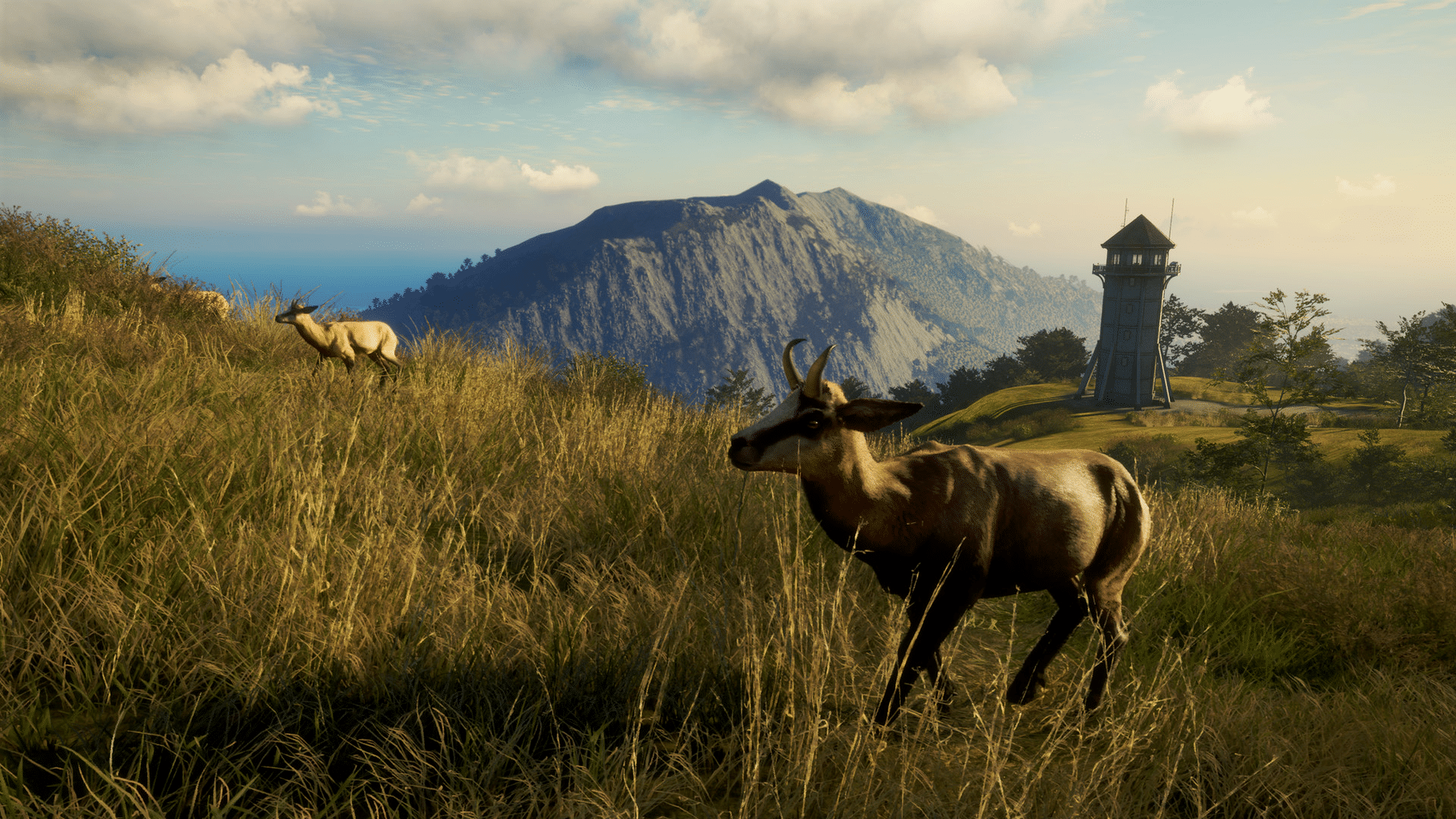 TheHunter: Call of the Wild - Te Awaroa National Park screenshot