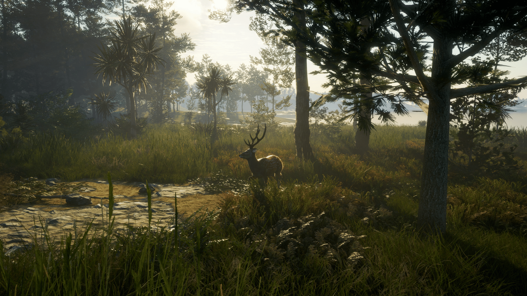 TheHunter: Call of the Wild - Te Awaroa National Park screenshot