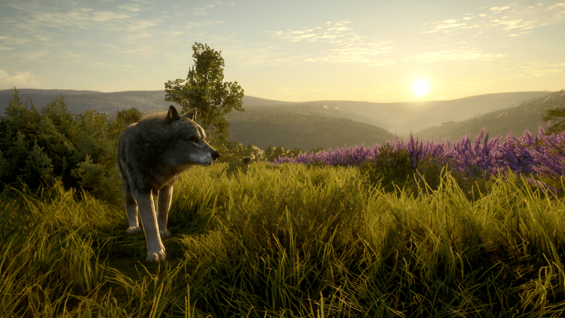 TheHunter: Call of the Wild - Cuatro Colinas Game Reserve screenshot